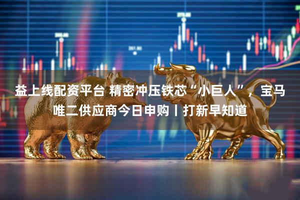 益上线配资平台 精密冲压铁芯“小巨人”，宝马唯二供应商今日申购丨打新早知道