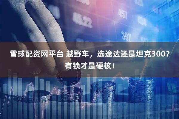 雪球配资网平台 越野车，选途达还是坦克300？有锁才是硬核！