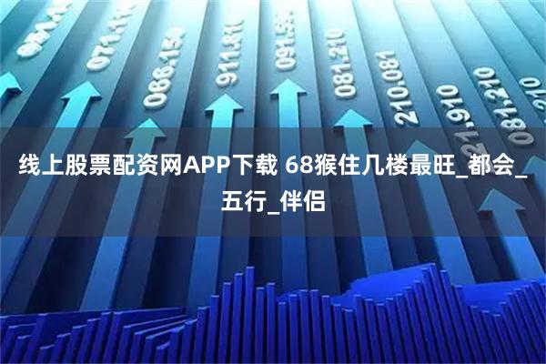 线上股票配资网APP下载 68猴住几楼最旺_都会_五行_伴侣